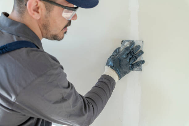 Best Wallpaper Removal and Painting  in Millbrae, CA